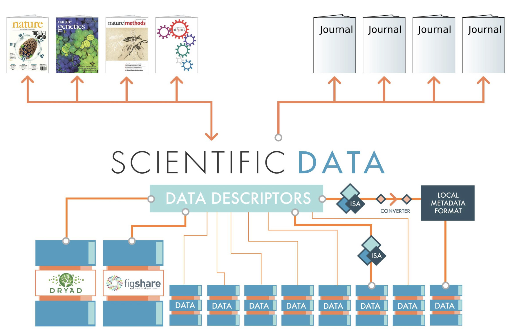 The Experiment That Cannot Be Repeated — Biomedicine's Reproducibility Crisis and the Data We Fail to Keep
